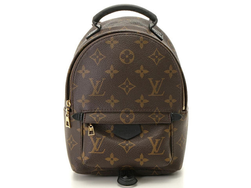 Louis Vuitton Palm Springs Backpack brown monogram